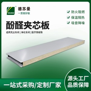 外墙建筑板家用民房夹芯板 防火保温隔热材料